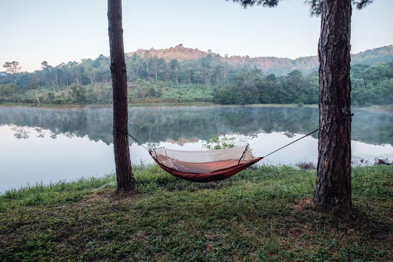 What Are the Best Locations for Hammock Camping in Different Environments?